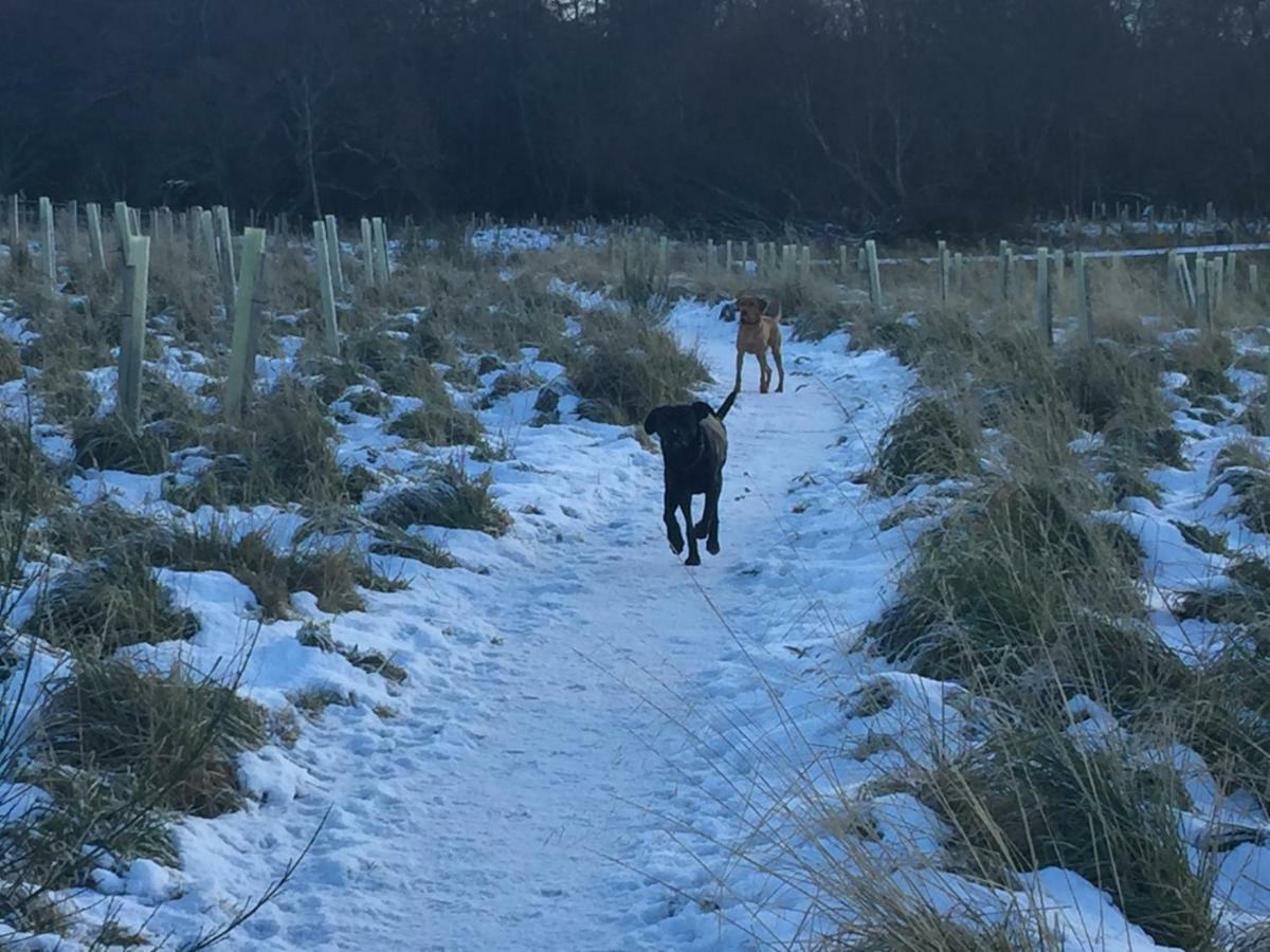Aviemore Highlands No82 エクステリア 写真